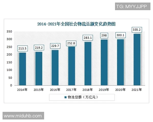 深圳极限运动队的成功运营模式与发展趋势分析